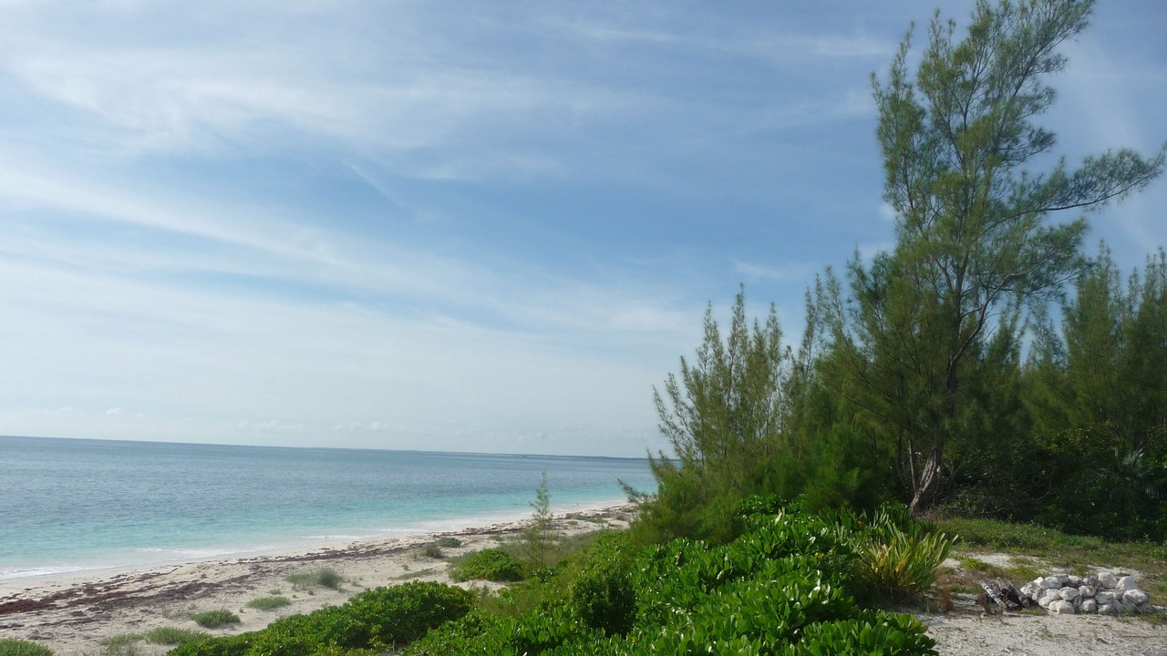 Photo of Others in Bahama Palm Shores