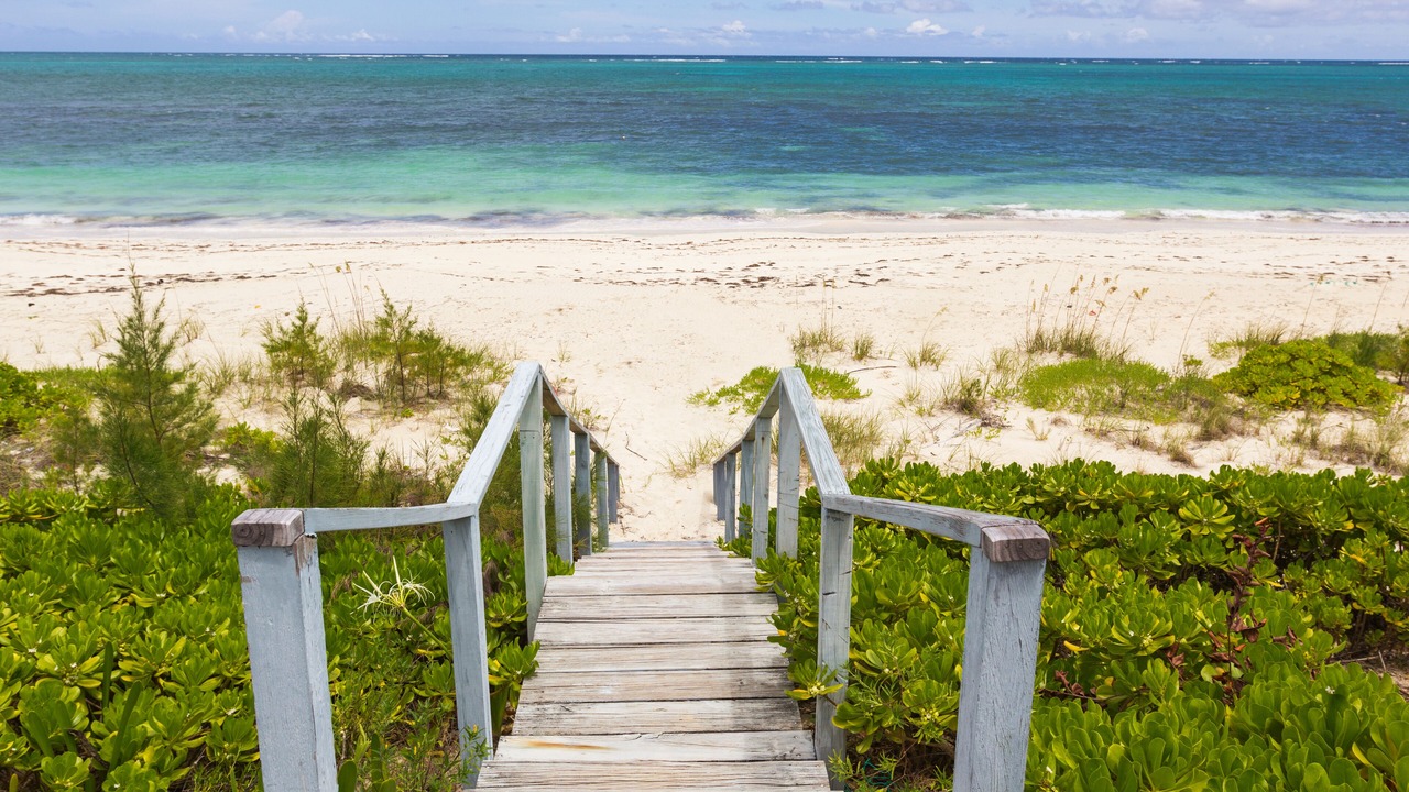 Photo of Others in Bahama Palm Shores