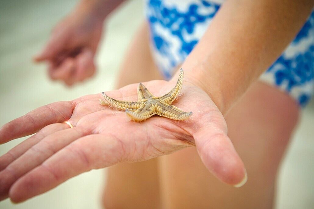 Photo of Others in Treasure Cay