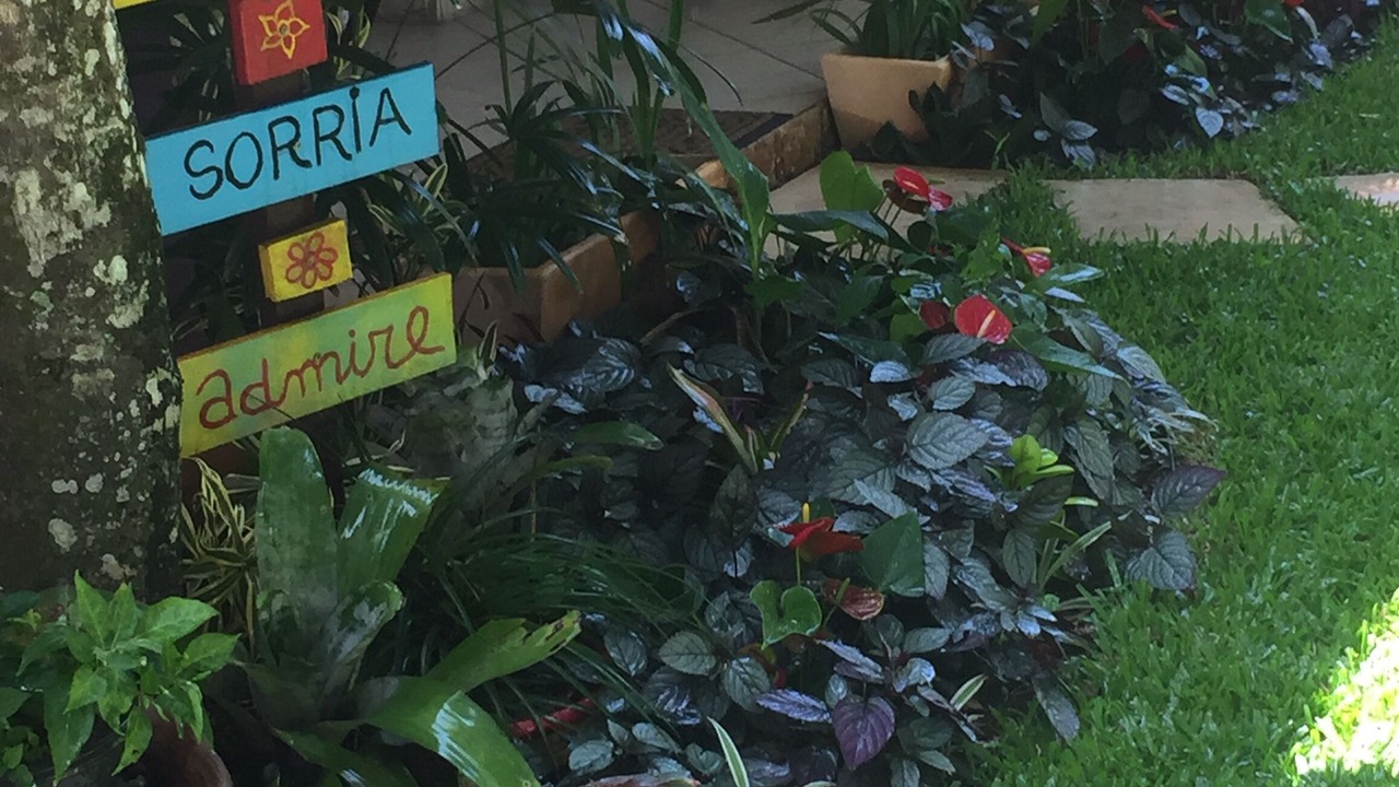 Photo of Outdoor in Itauna