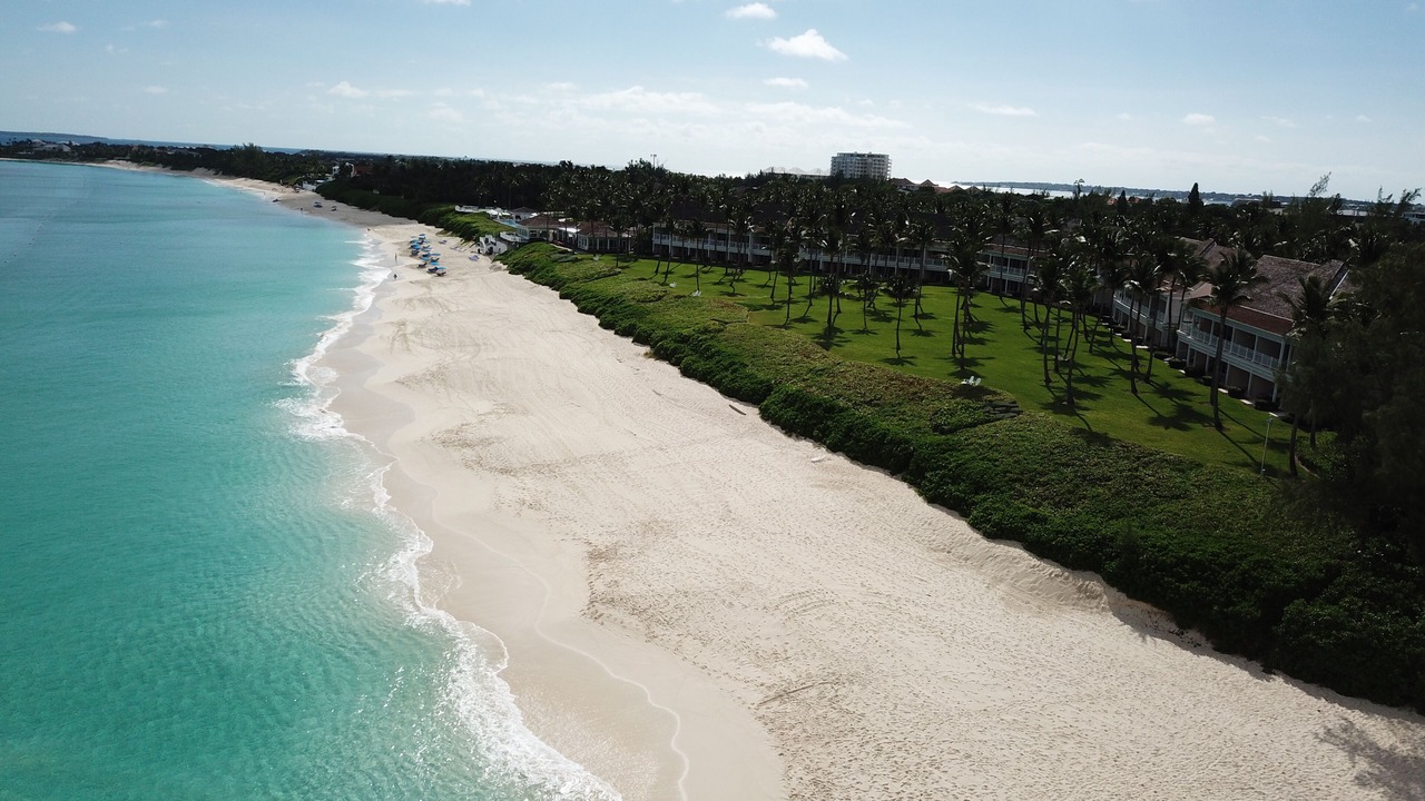 Photo of Others in Paradise Island