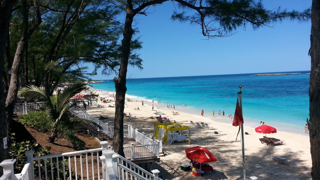 Photo of Others in Paradise Island