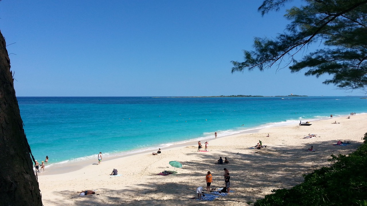 Photo of Others in Paradise Island