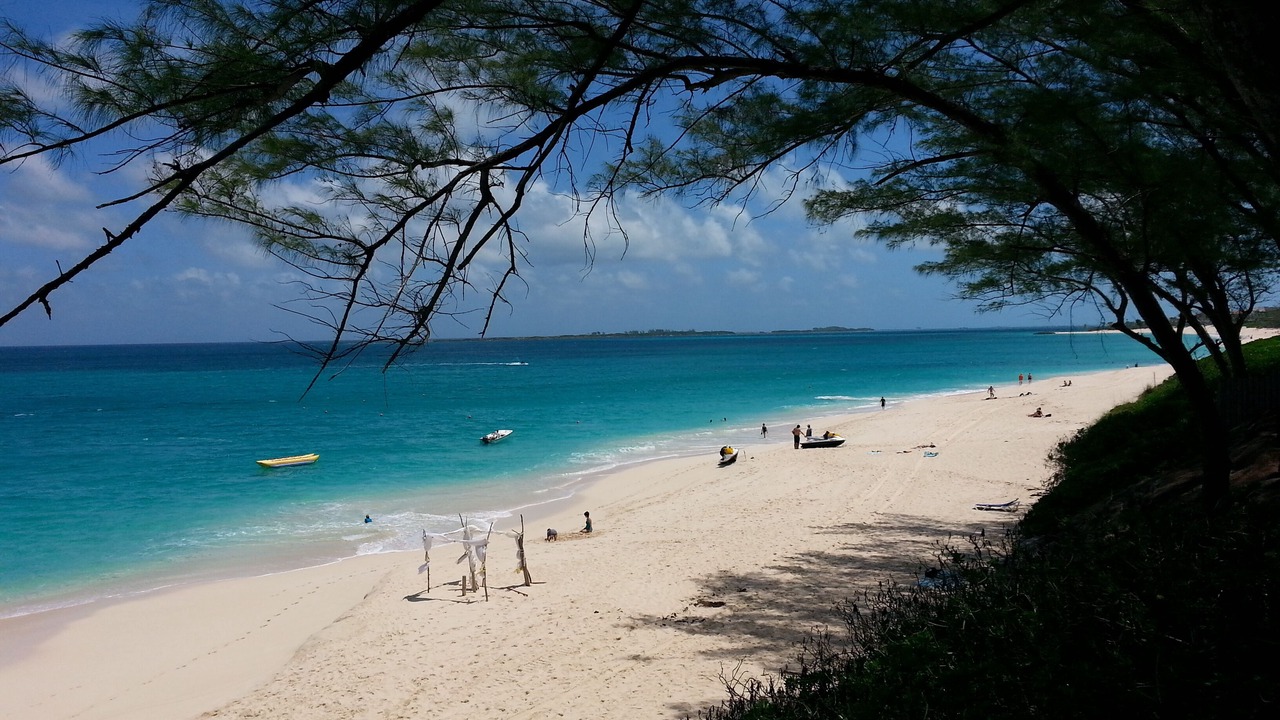 Photo of Others in Paradise Island