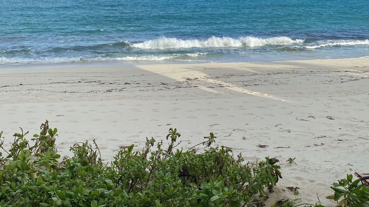 Photo of Others in Green Turtle Estates