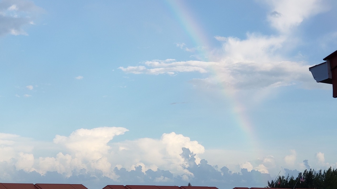 Photo of Others in Bimini Islands