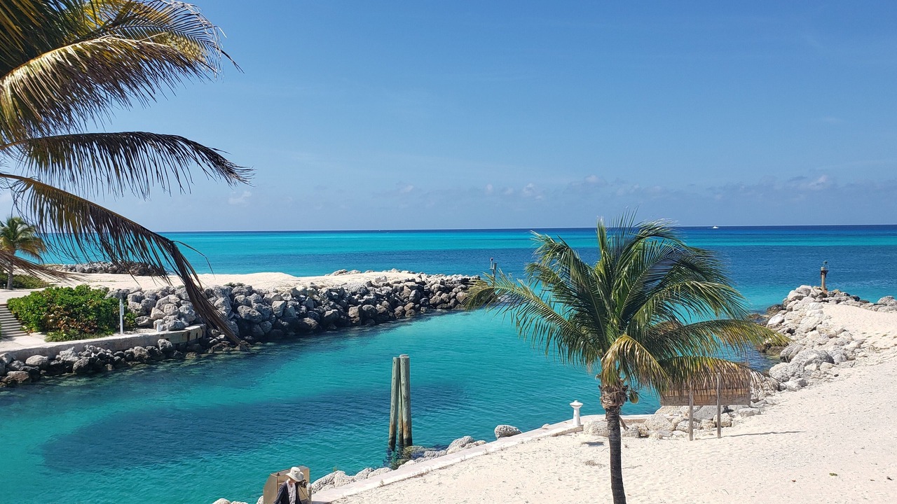 Photo of Others in Bimini Islands