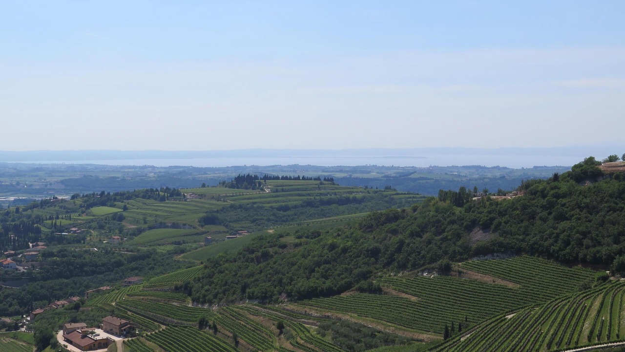 Photo of Others in San Giorgio di Valpolicella