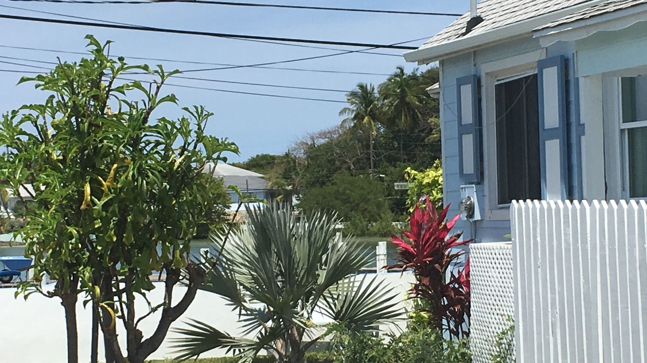 Photo of Others in Treasure Cay