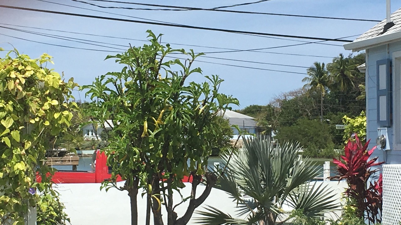 Photo of Others in Treasure Cay