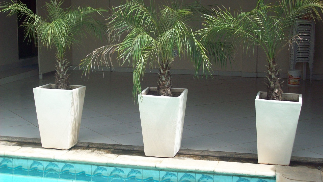 Photo of Outdoor in Engenho do Mato