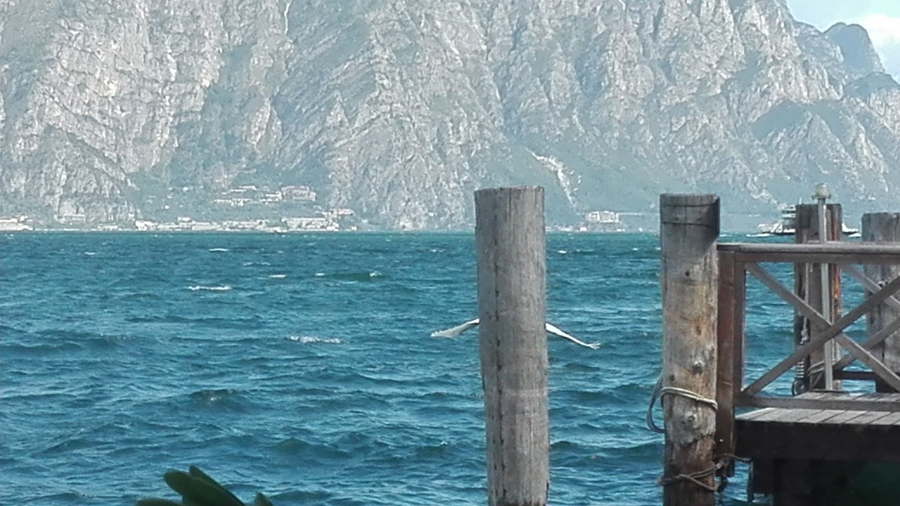 Photo of Others in Malcesine