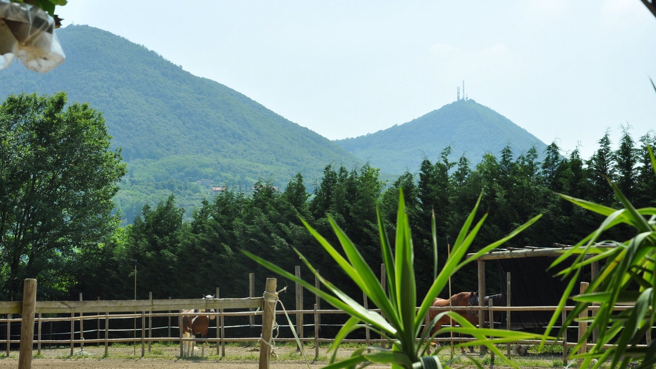 Photo of Outdoor in Ospedaletto di Pescantina