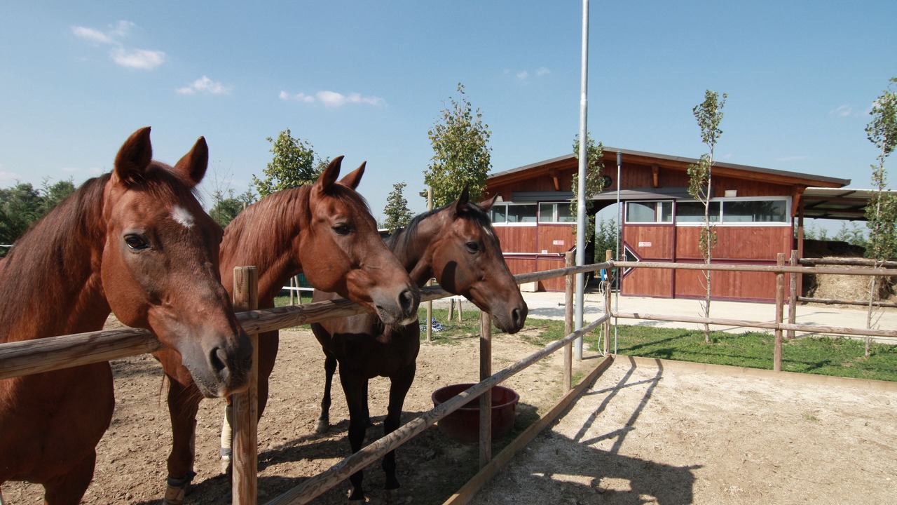 Photo of Others in Ospedaletto di Pescantina