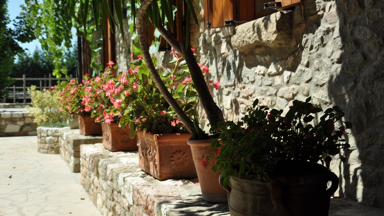 Photo of Outdoor in Ospedaletto di Pescantina