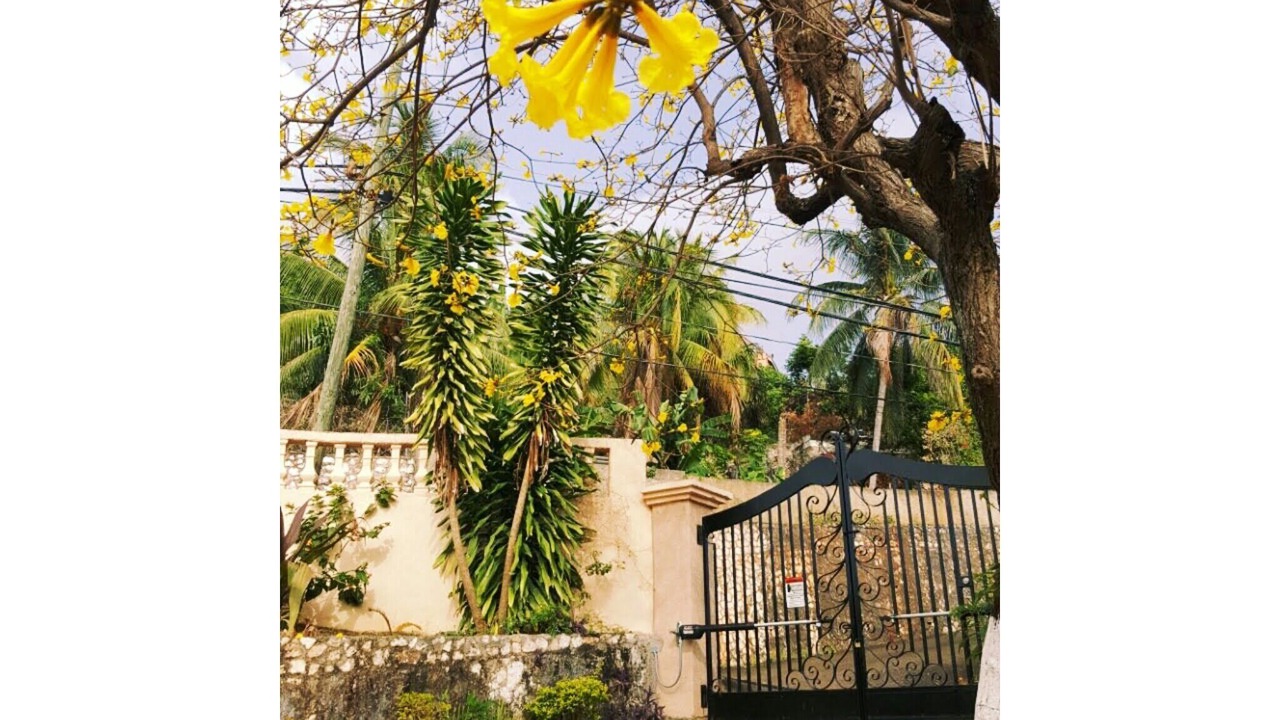 Photo of Outdoor in Constant Spring
