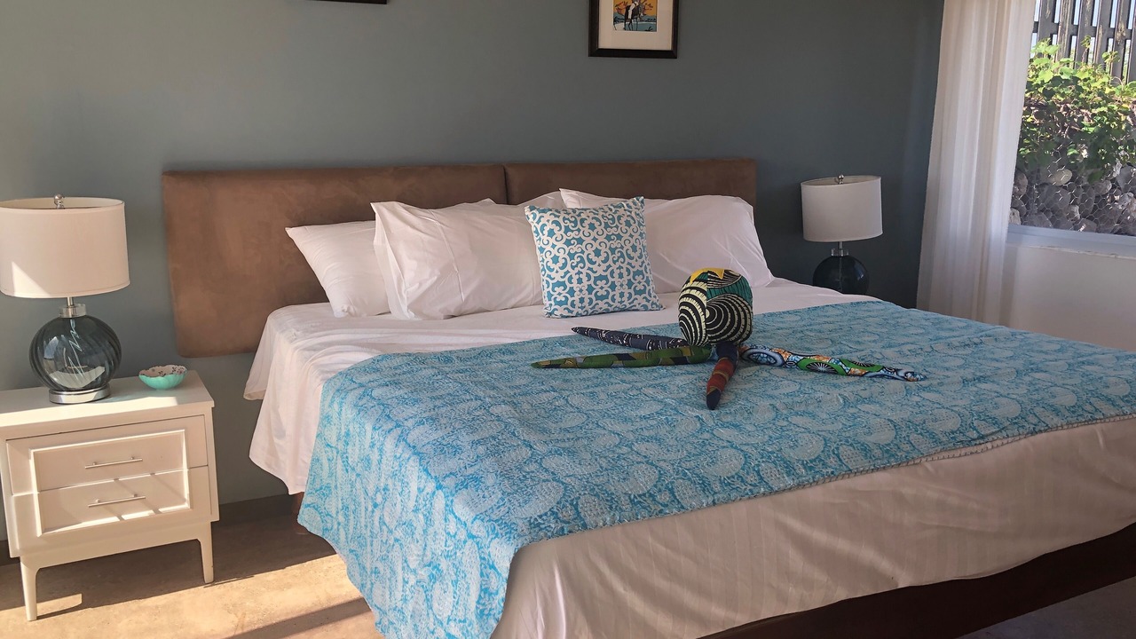 Photo of Bedroom in Treasure Beach