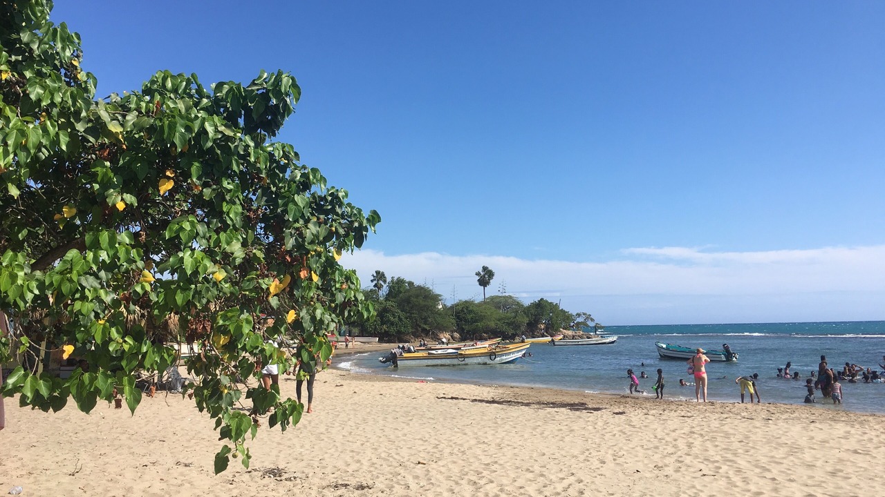 Photo of Others in Treasure Beach