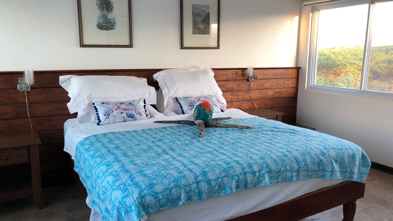 Photo of Bedroom in Treasure Beach