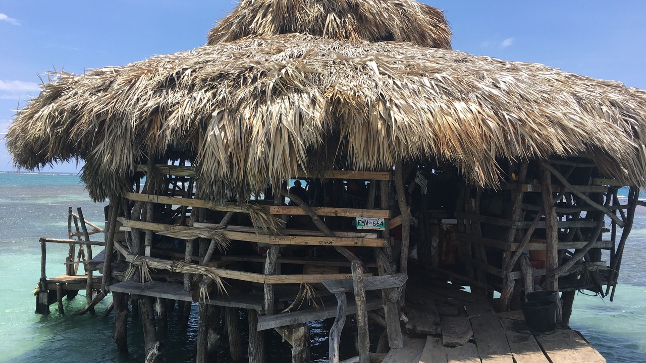 Photo of Others in Treasure Beach