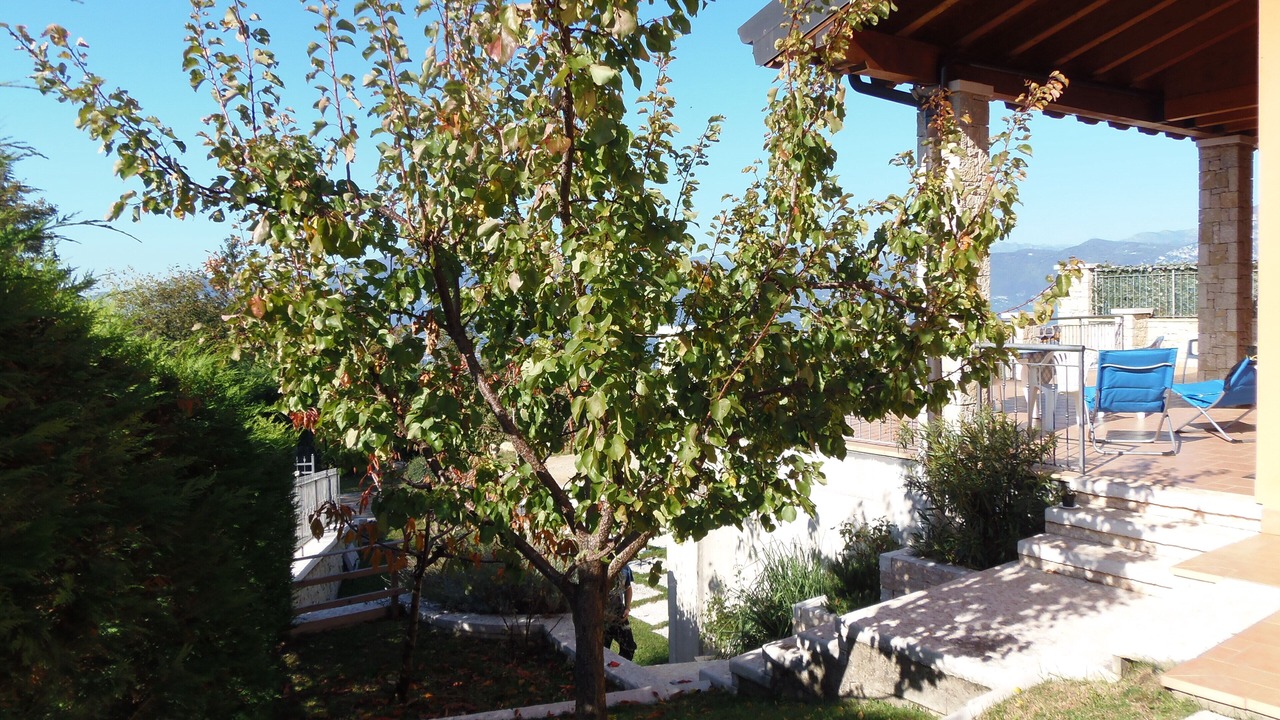 Photo of Outdoor in Torri del Benaco