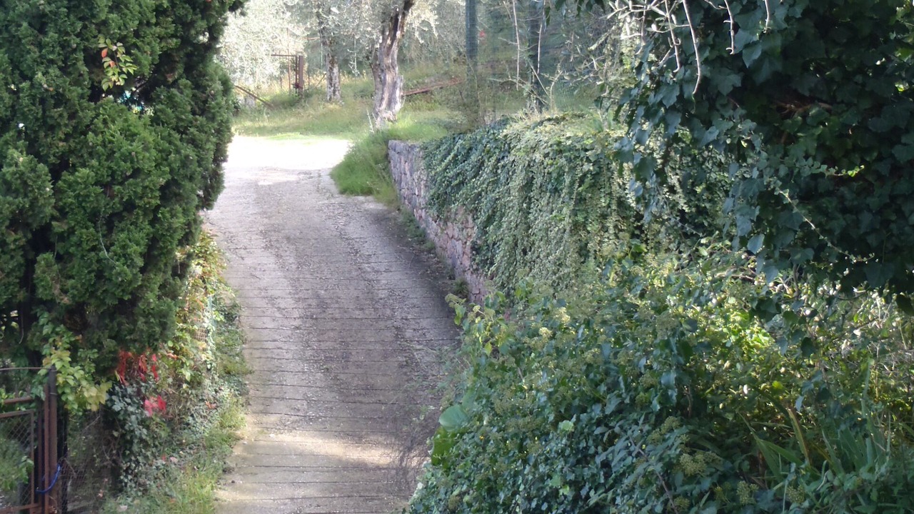 Photo of Outdoor in Torri del Benaco
