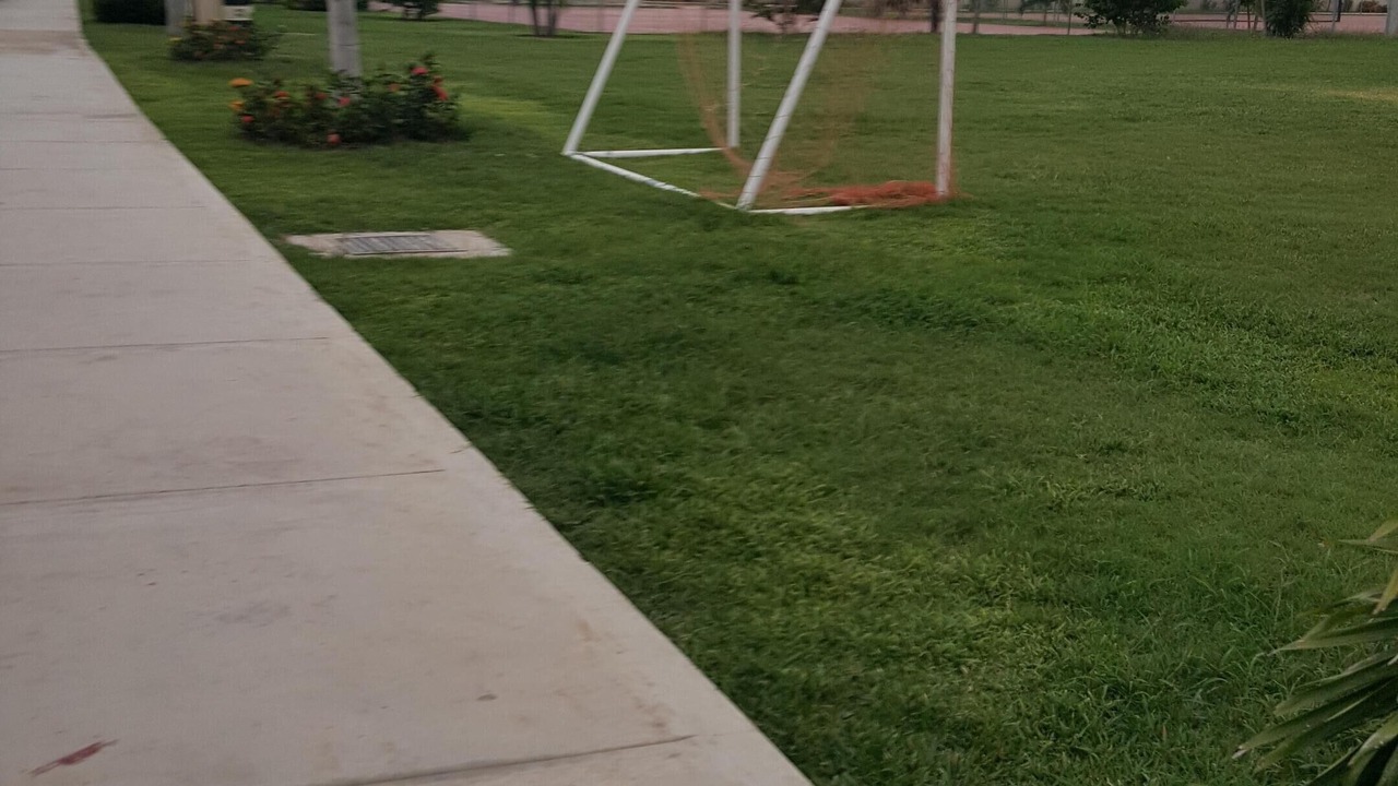 Photo of Outdoor in Kingston