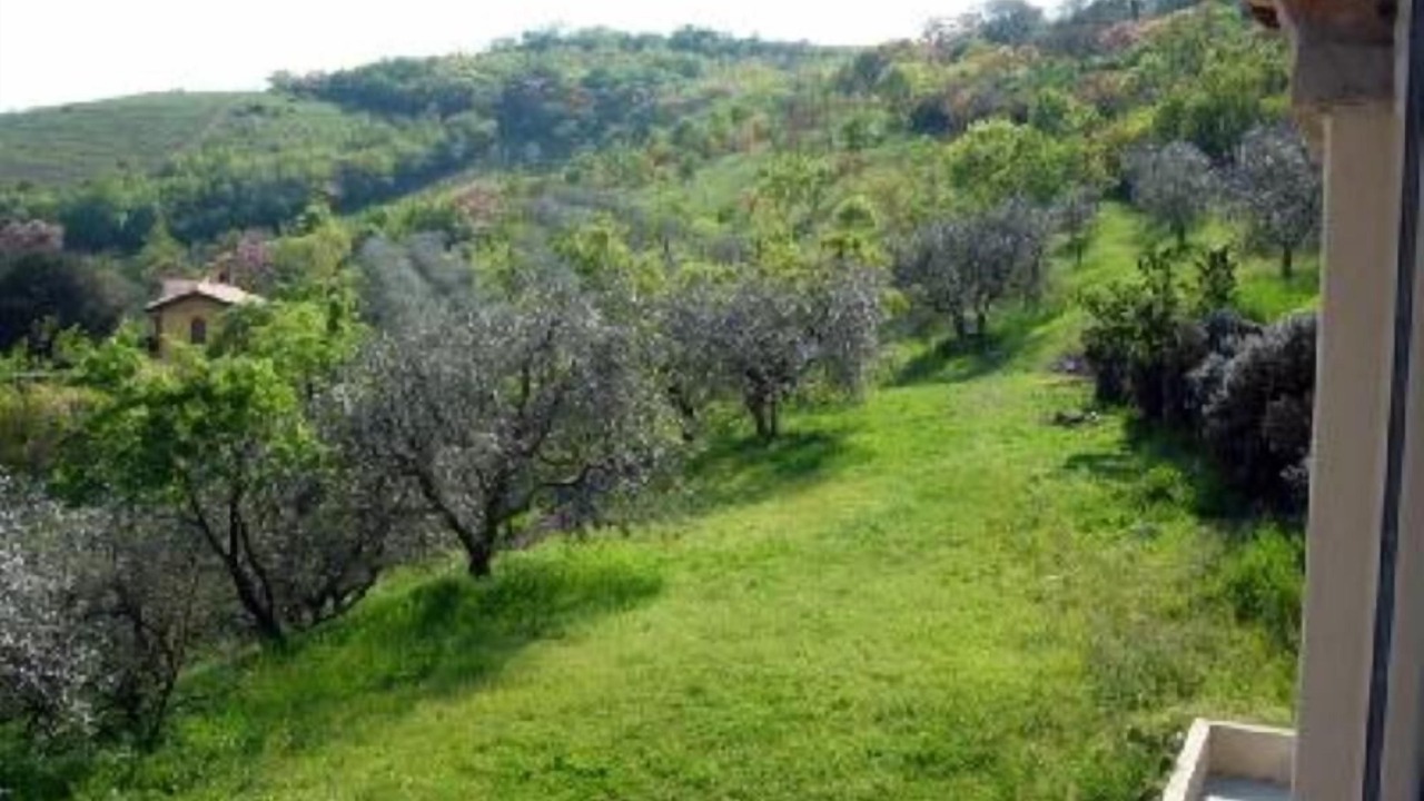Photo of Others in Arqua Petrarca