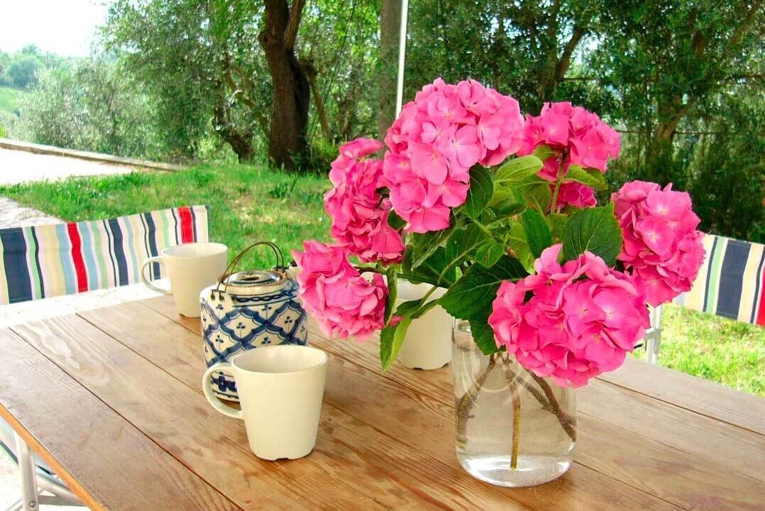 Photo of Outdoor in Arqua Petrarca