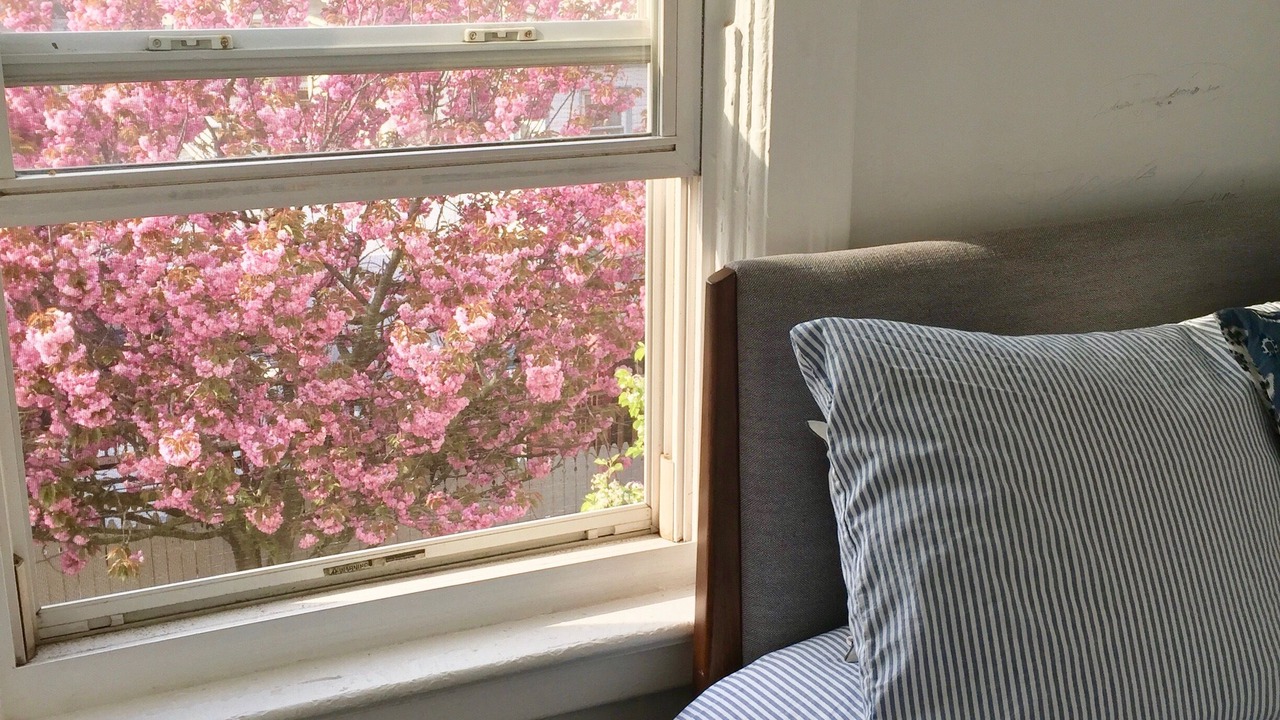 Photo of Bedroom in Queens