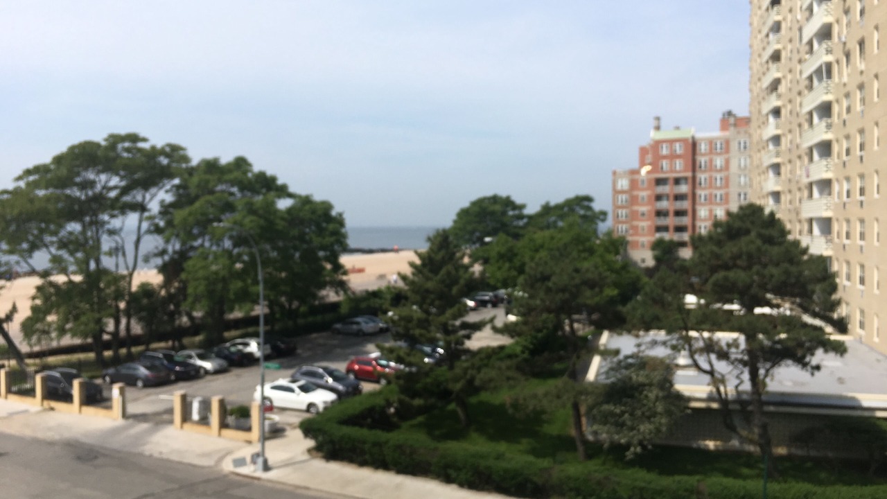 Photo of Others in Brighton Beach