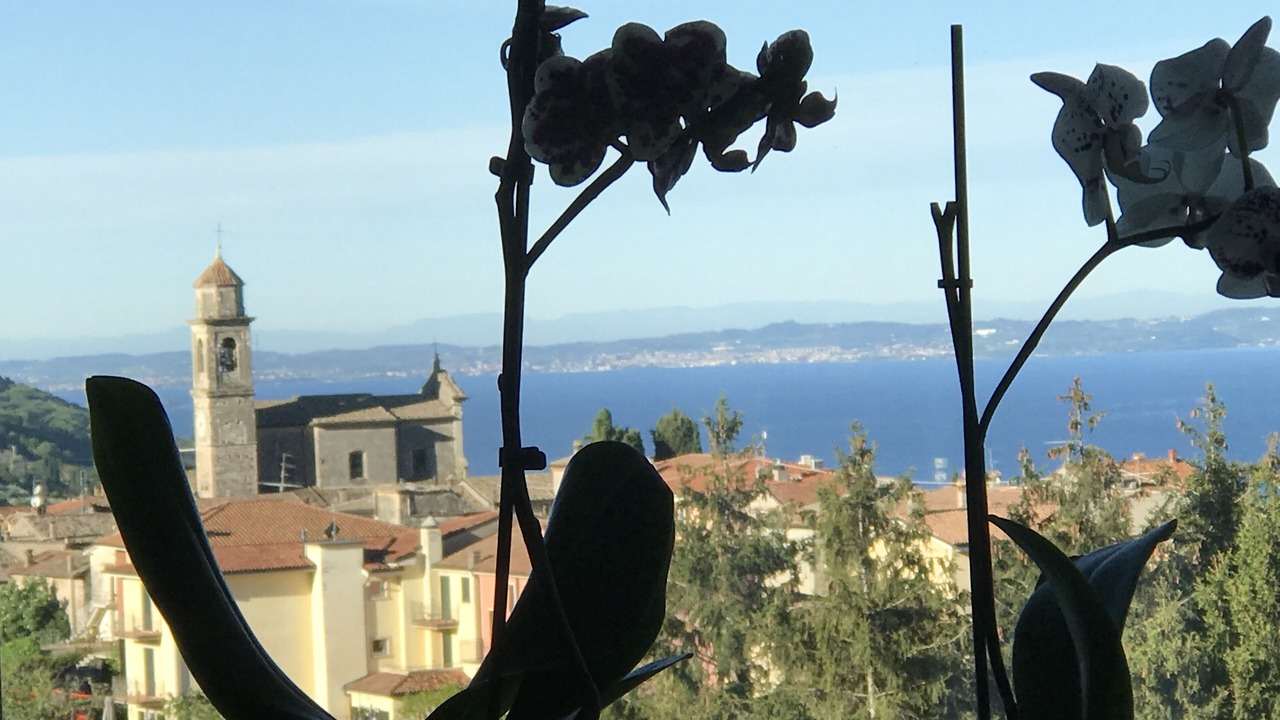 Photo of Others in Albisano