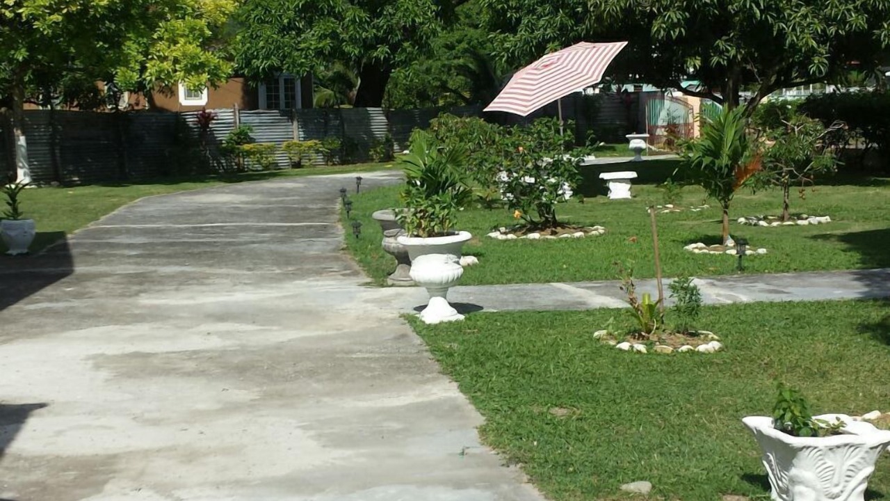 Photo of Outdoor in Port Morant
