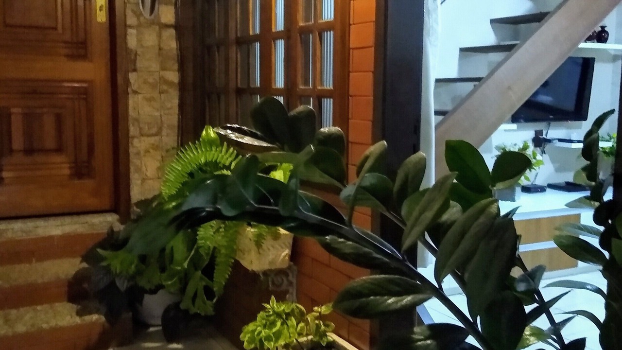 Photo of Others in Downtown Buzios