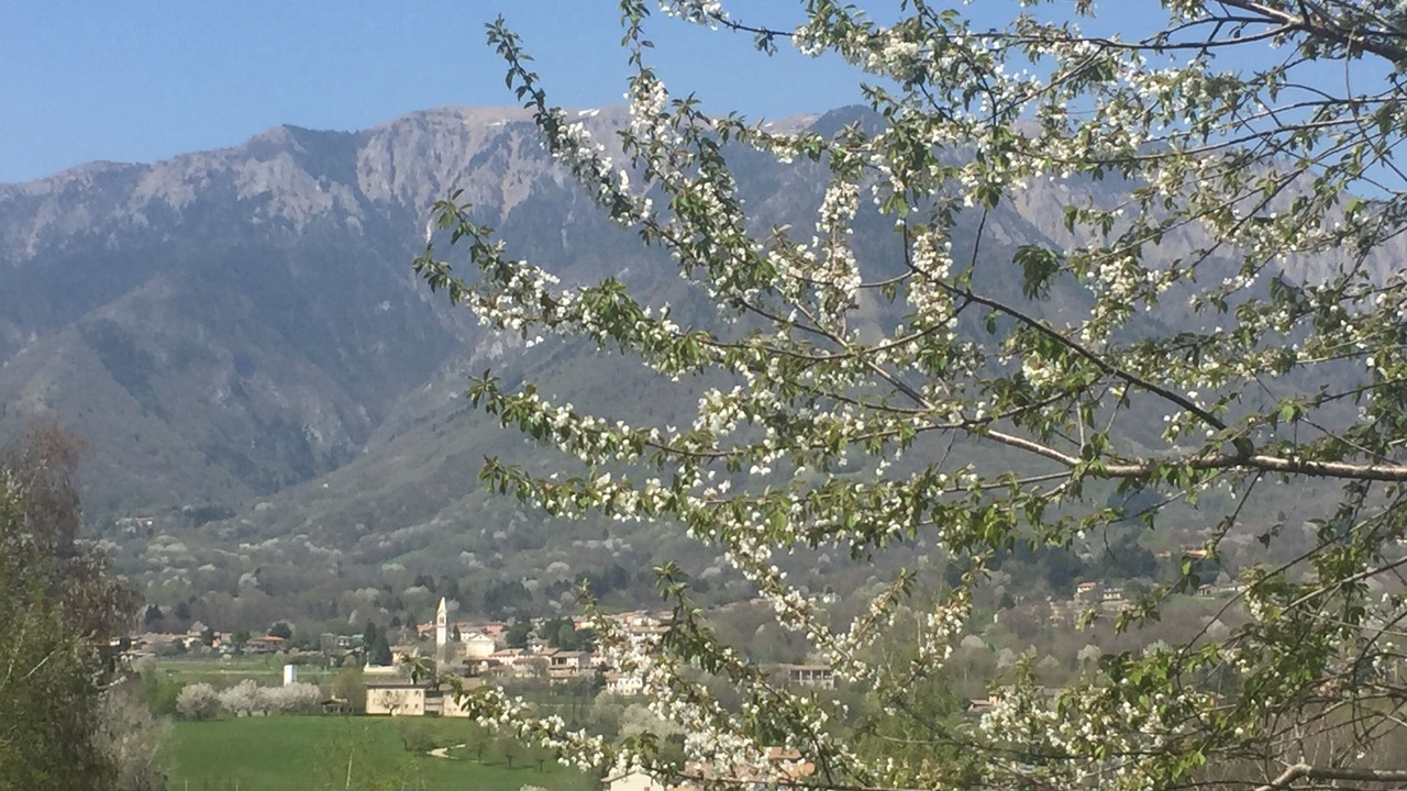 Photo of Outdoor in Paderno del Grappa