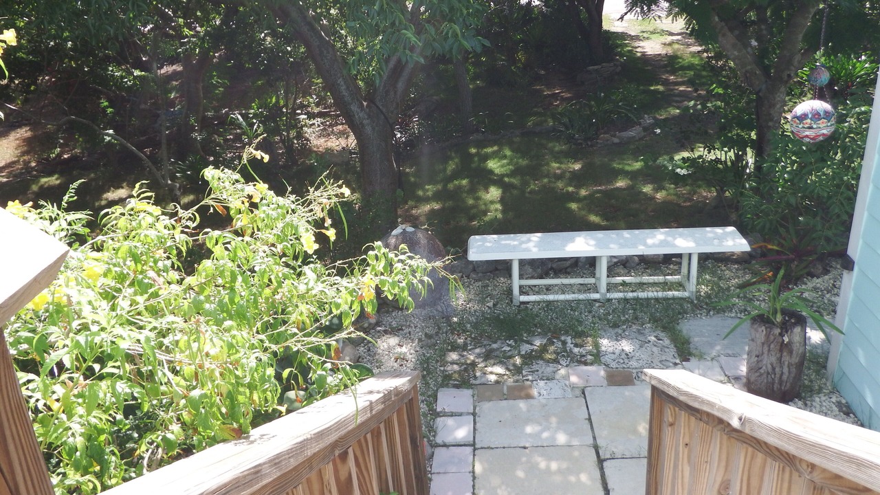 Photo of Outdoor in Forbes Hill