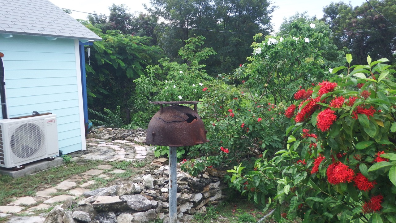 Photo of Outdoor in Forbes Hill