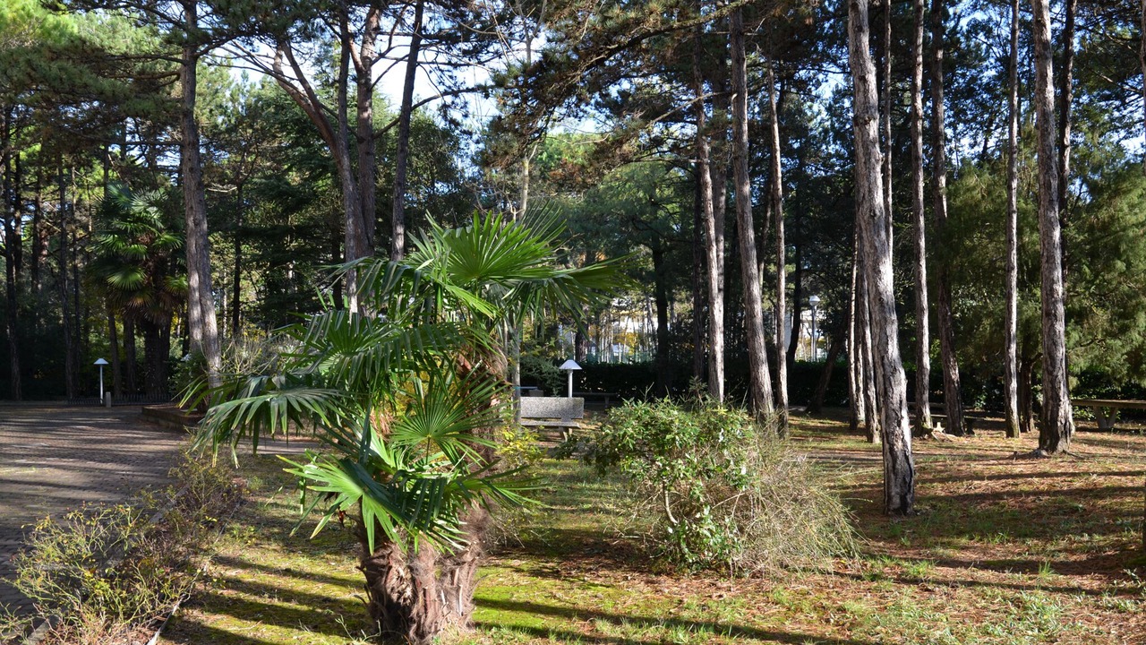 Photo of Outdoor in Bibione Lido del Sole