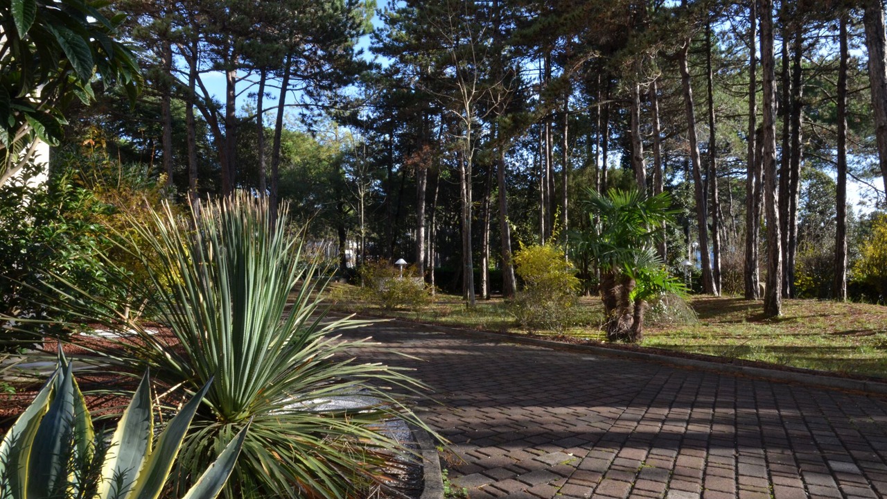 Photo of Outdoor in Bibione Lido del Sole