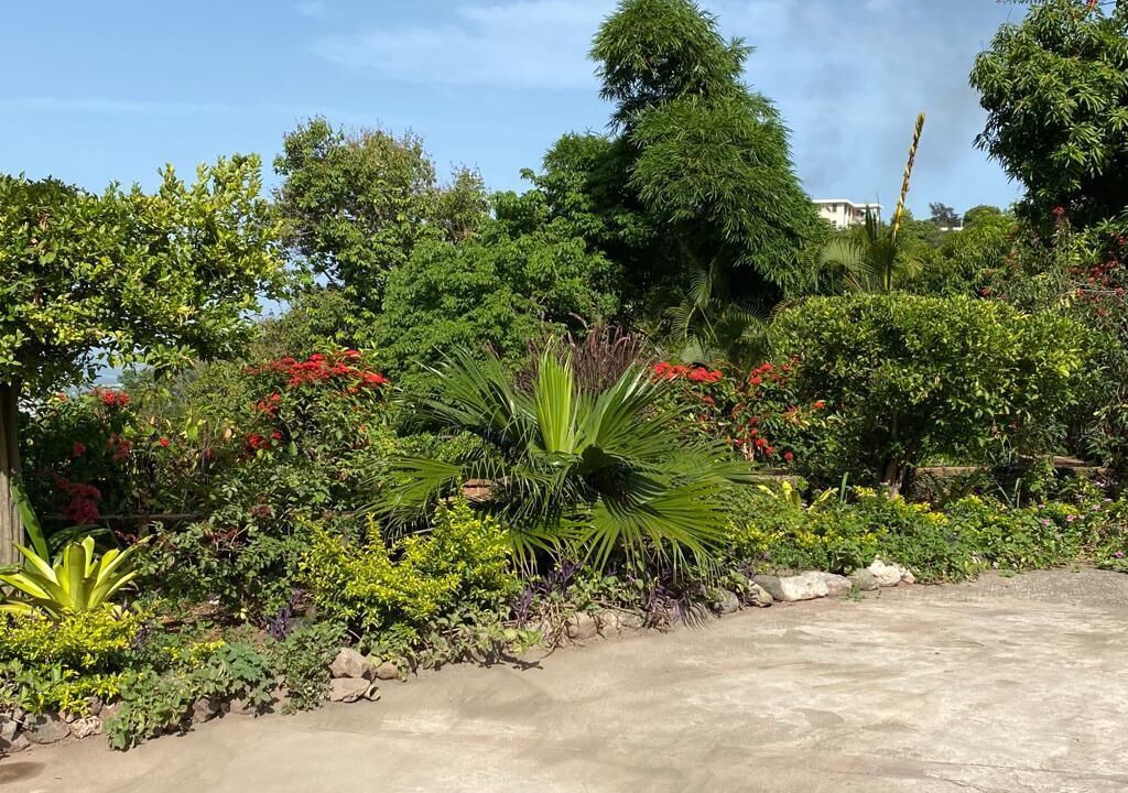 Photo of Outdoor in Jack's Hill