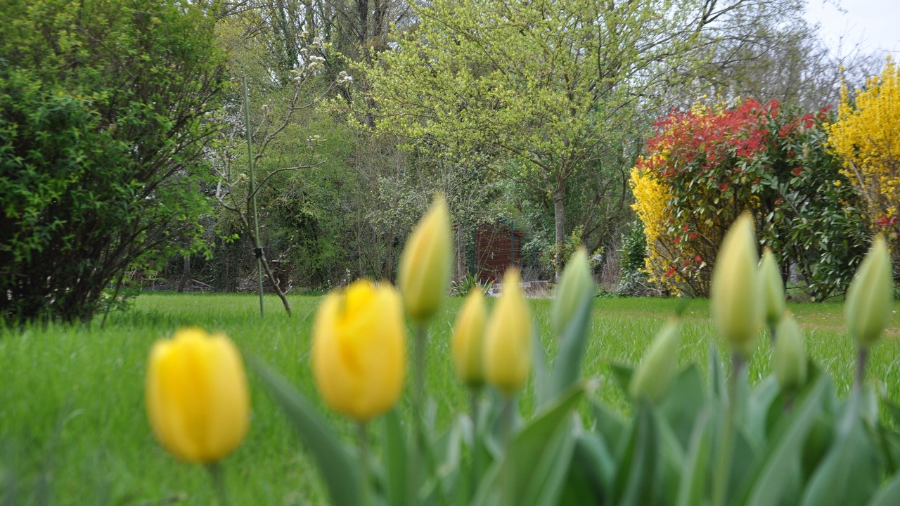 Photo of Outdoor in Couilly-Pont-aux-Dames