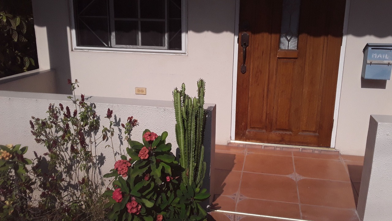Photo of Outdoor in Beverly Hills