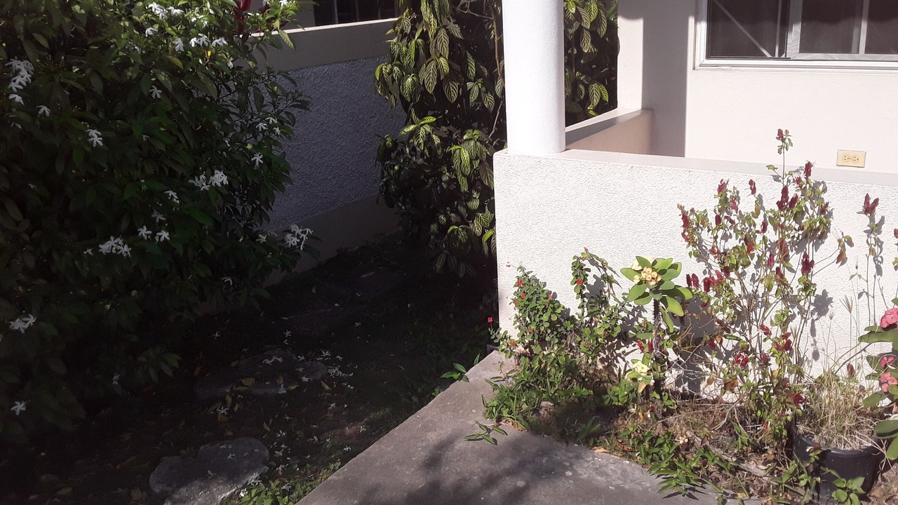 Photo of Outdoor in Beverly Hills