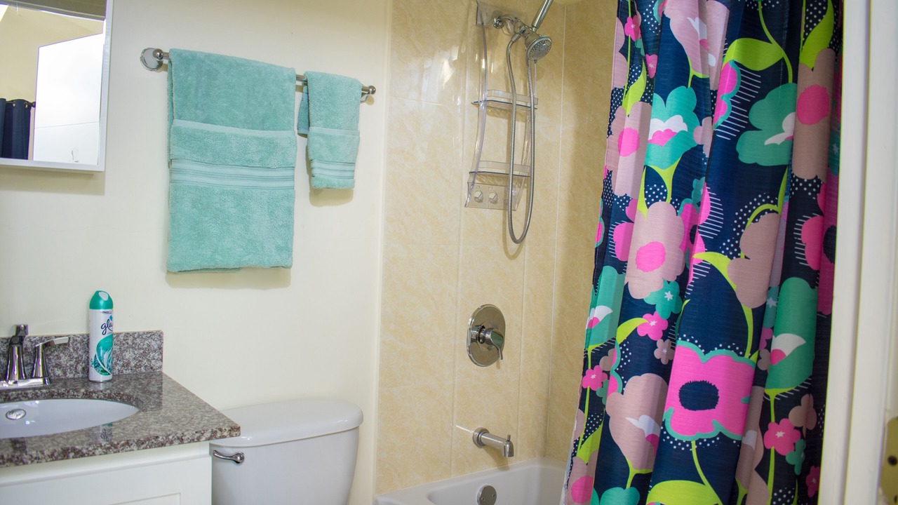 Photo of Bathroom in Mammee Bay
