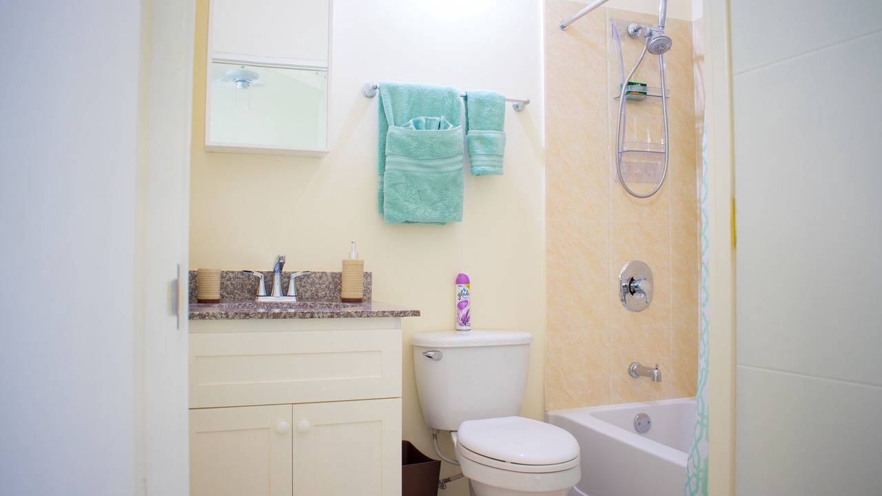 Photo of Bathroom in Mammee Bay