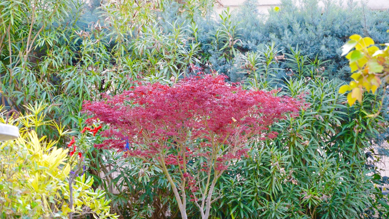 Photo of Outdoor in Santa Maria in Stelle
