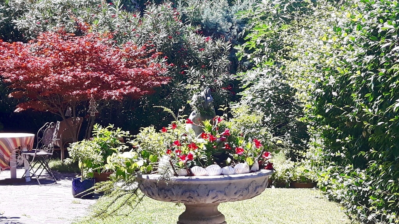 Photo of Outdoor in Santa Maria in Stelle