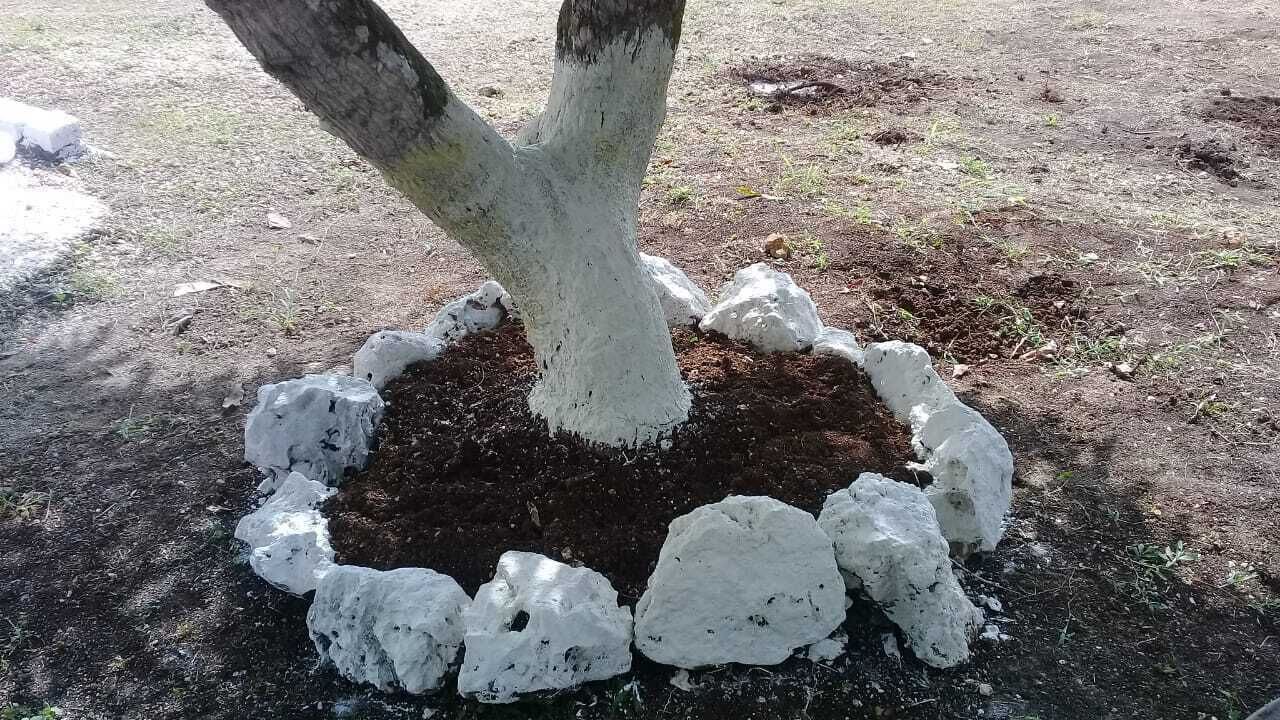 Photo of Outdoor in Green Island