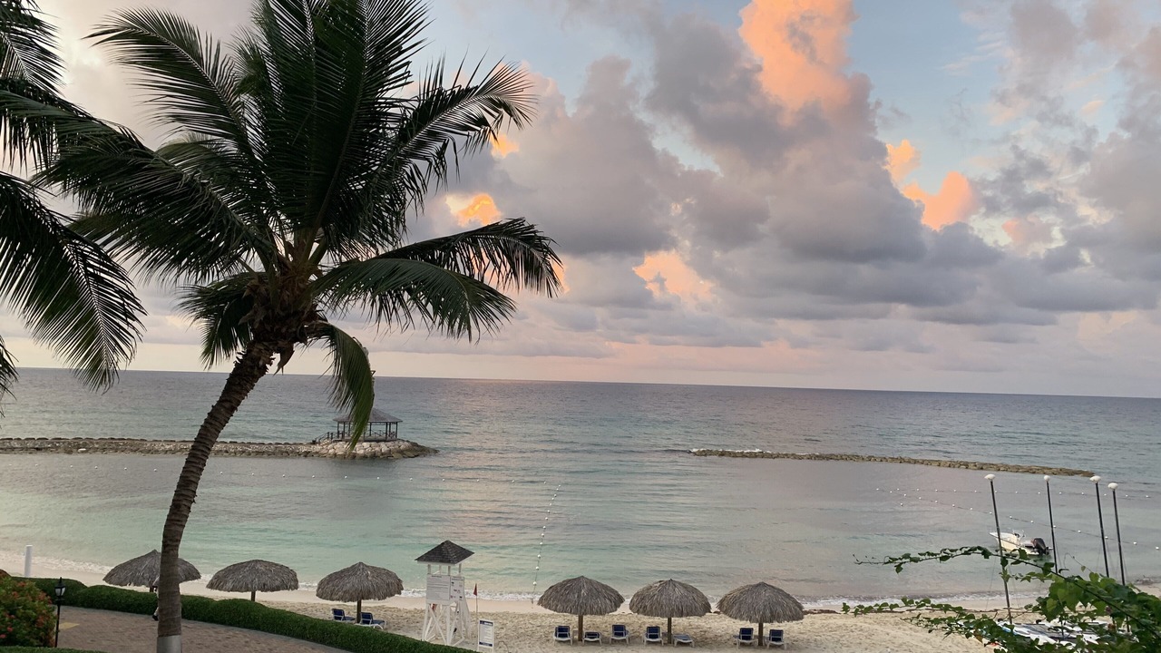Photo of Others in Montego Bay
