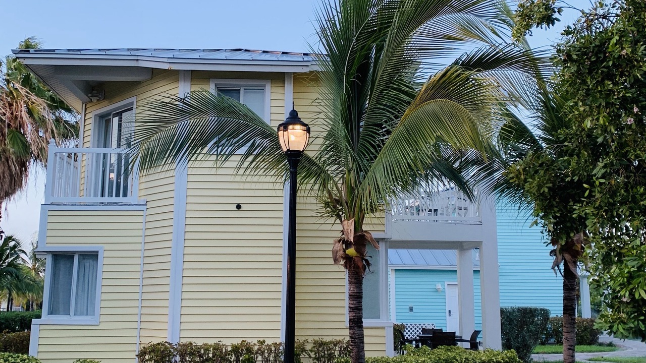 Photo of Outdoor in Alice Town